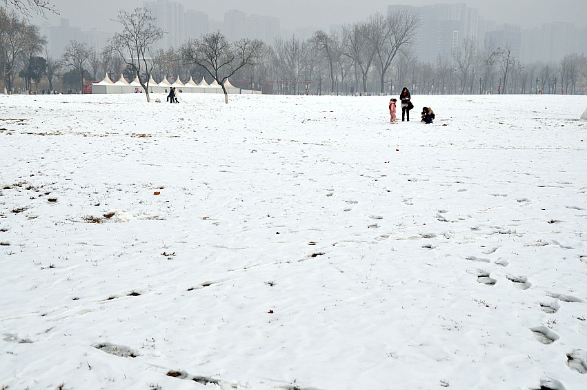 DSC_0021_conew1.jpg