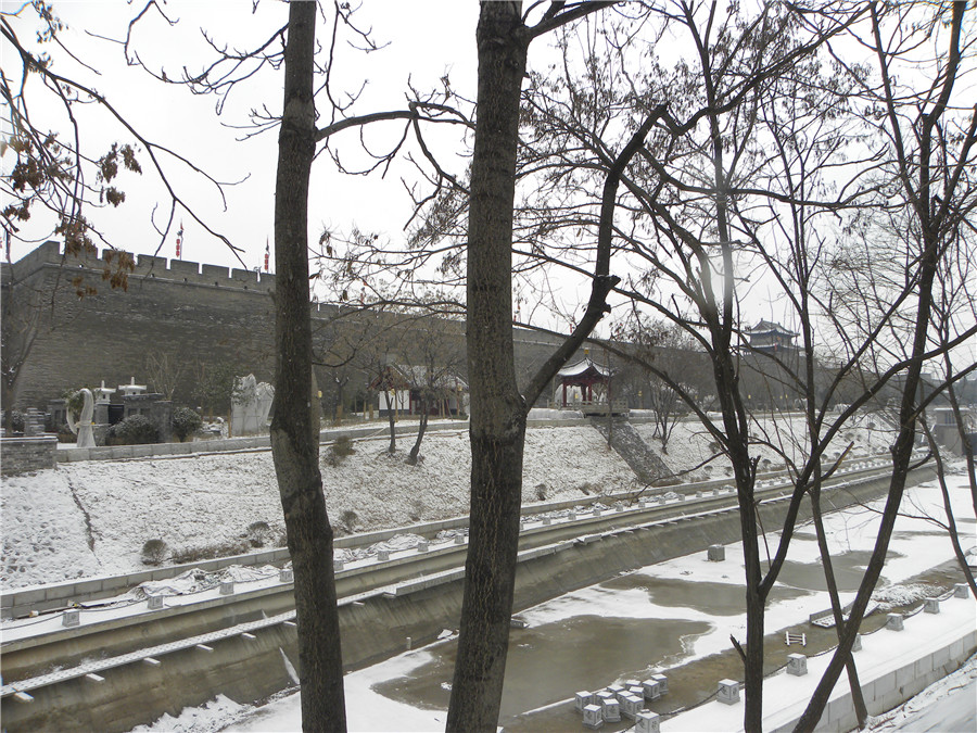 DSCN4987.jpg