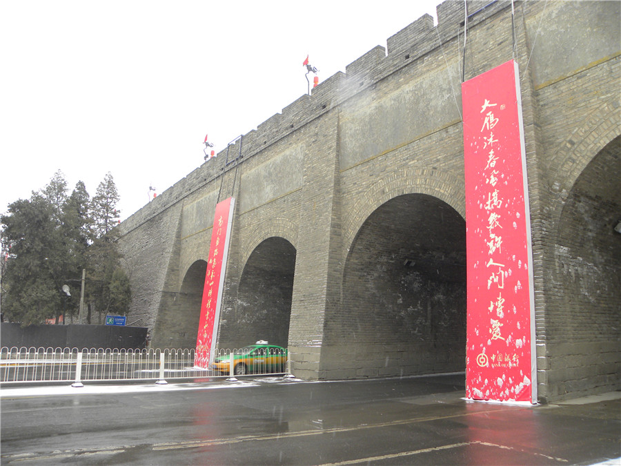 DSCN4993.jpg