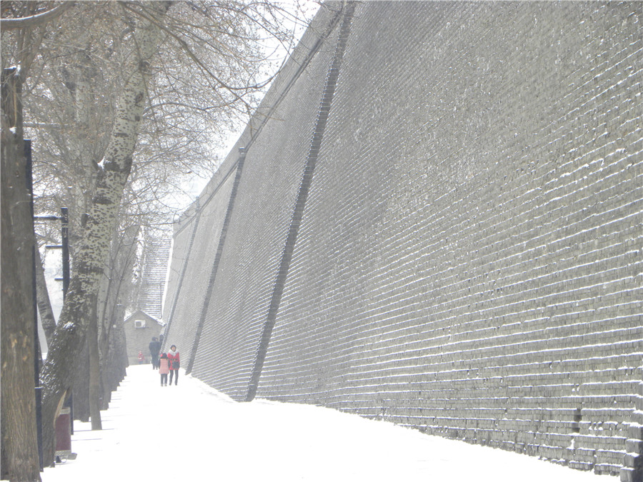 DSCN4997.jpg