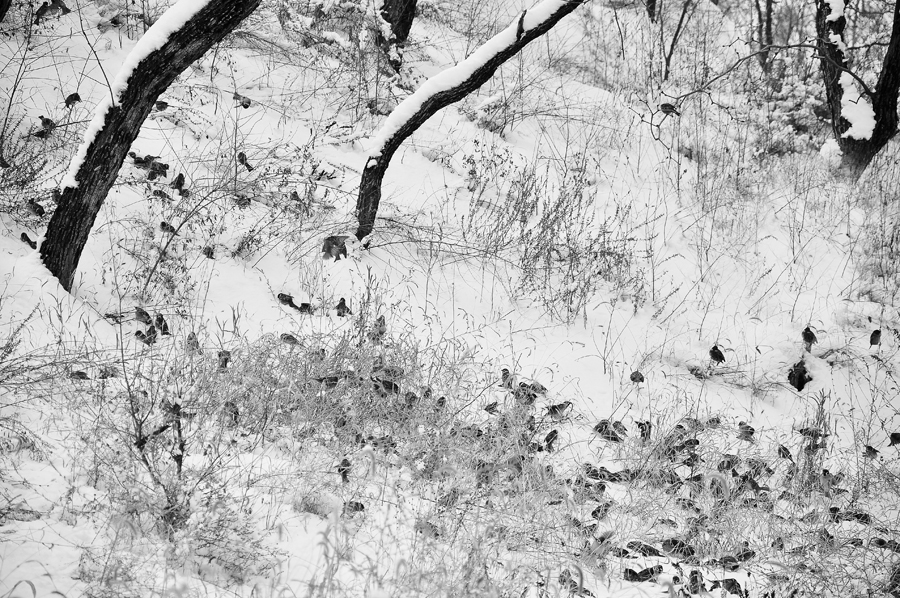 DSC_0248.JPG