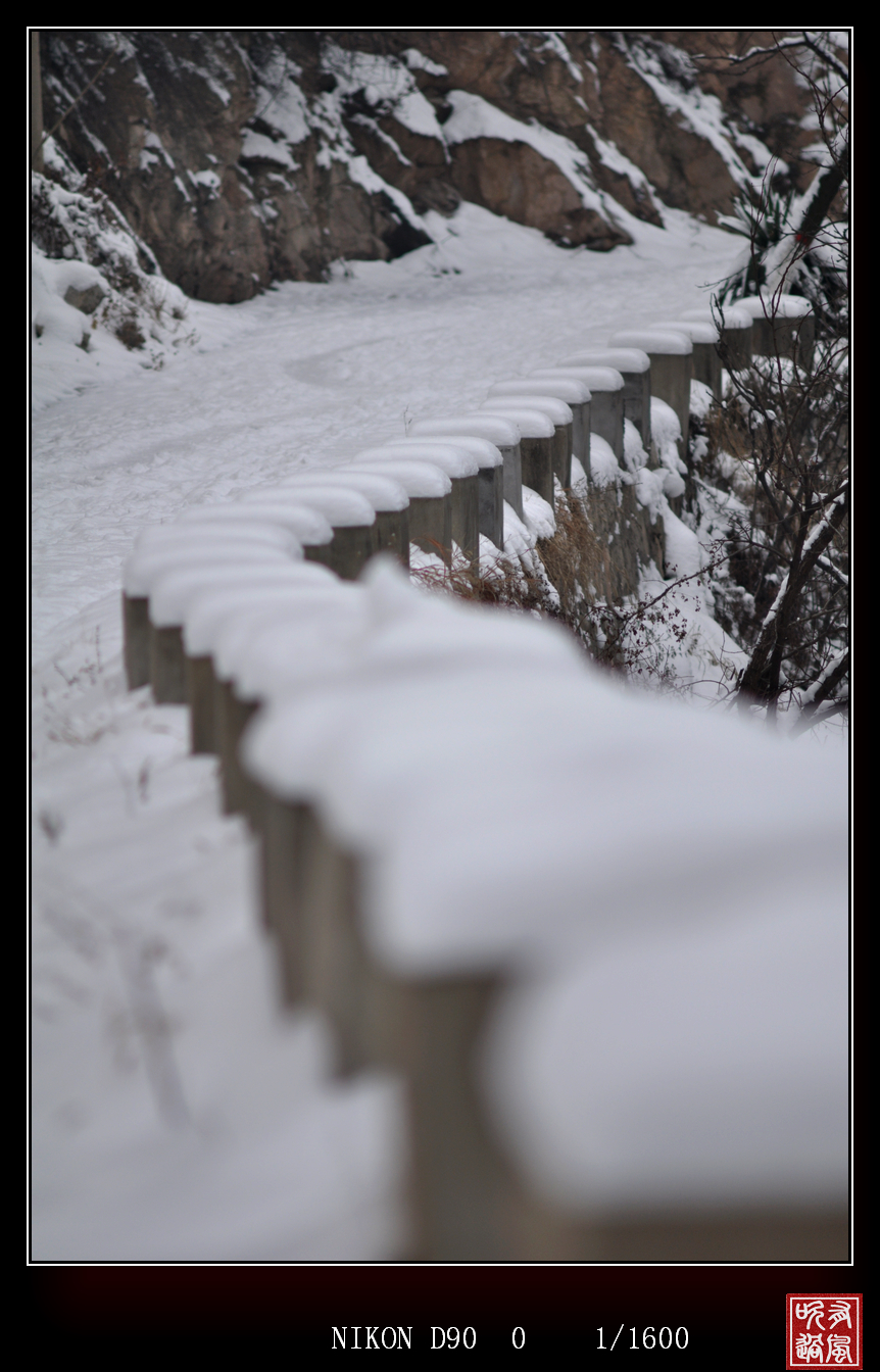 DSC_8469.JPG
