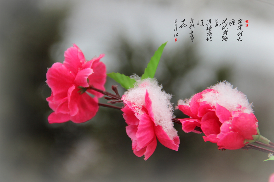 IMG_7374_副本.jpg