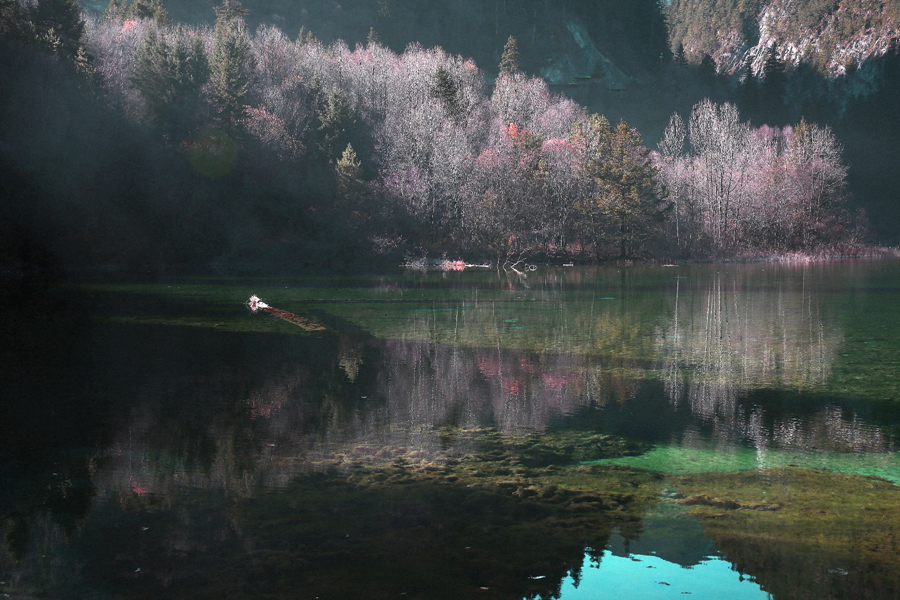 6X1A5280_副本.jpg