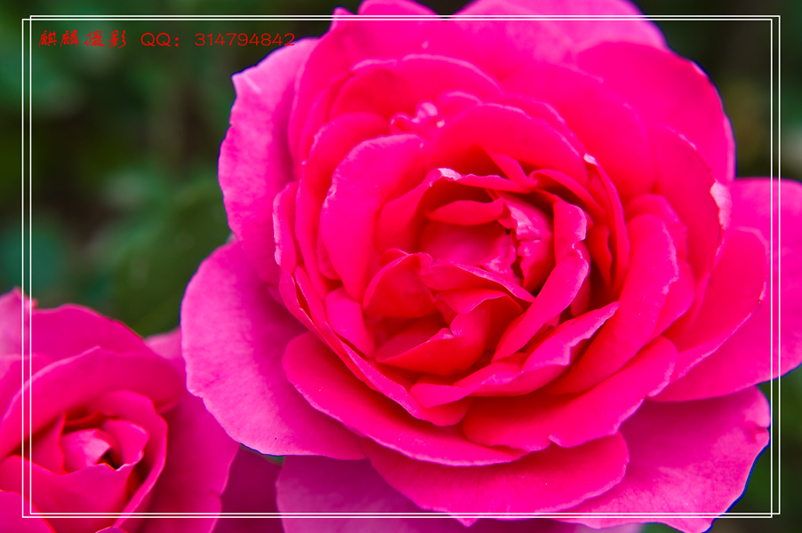 DSC_7196_副本.jpg