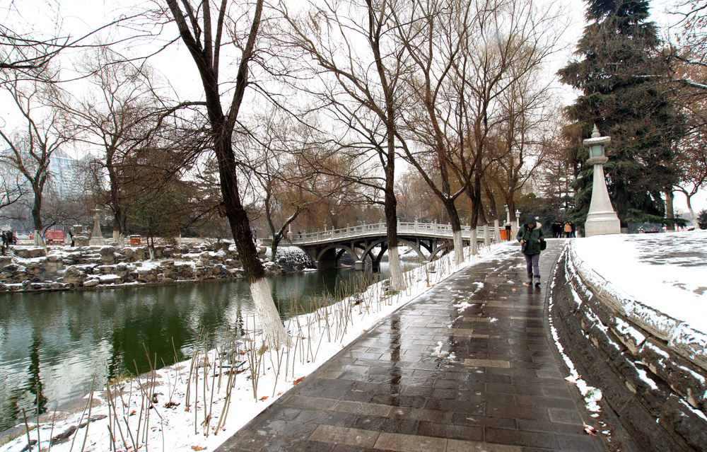 _MG_7628.jpg