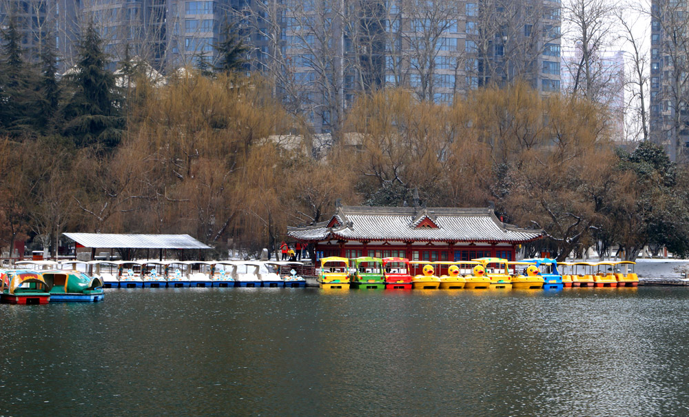 _MG_7648.jpg
