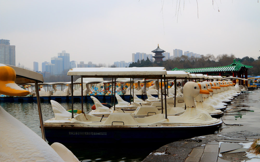 _MG_7684.jpg