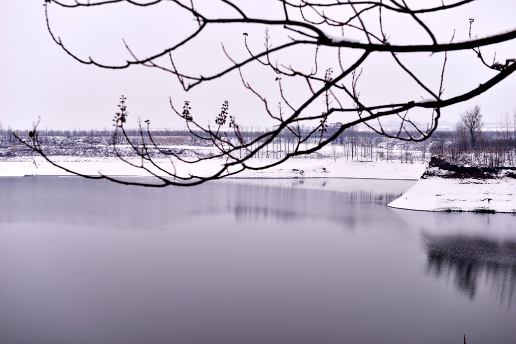 DSC_9109_副本.jpg