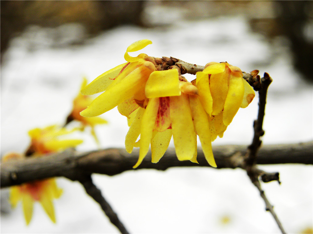 DSCN5902.JPG