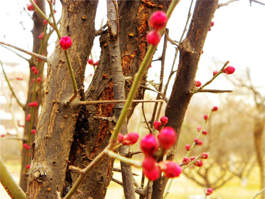 DSCN6040.JPG