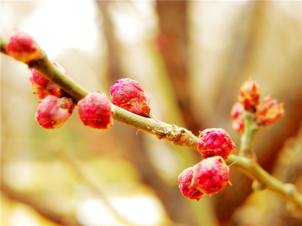 DSCN6015.JPG