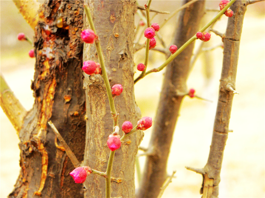 DSCN6030.JPG