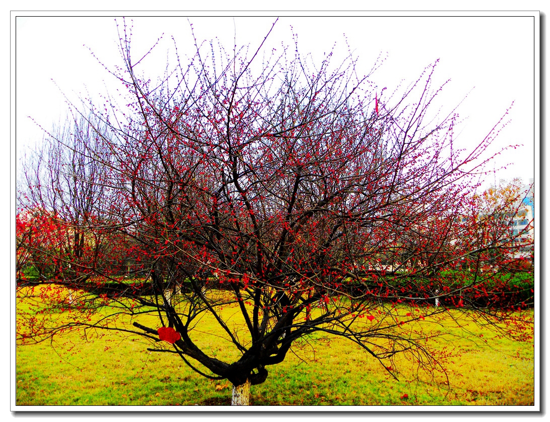 DSCN8647.JPG