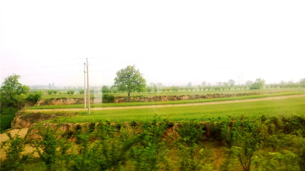 P1220969.JPG