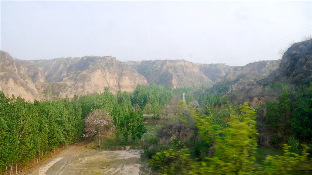 P1220874.JPG