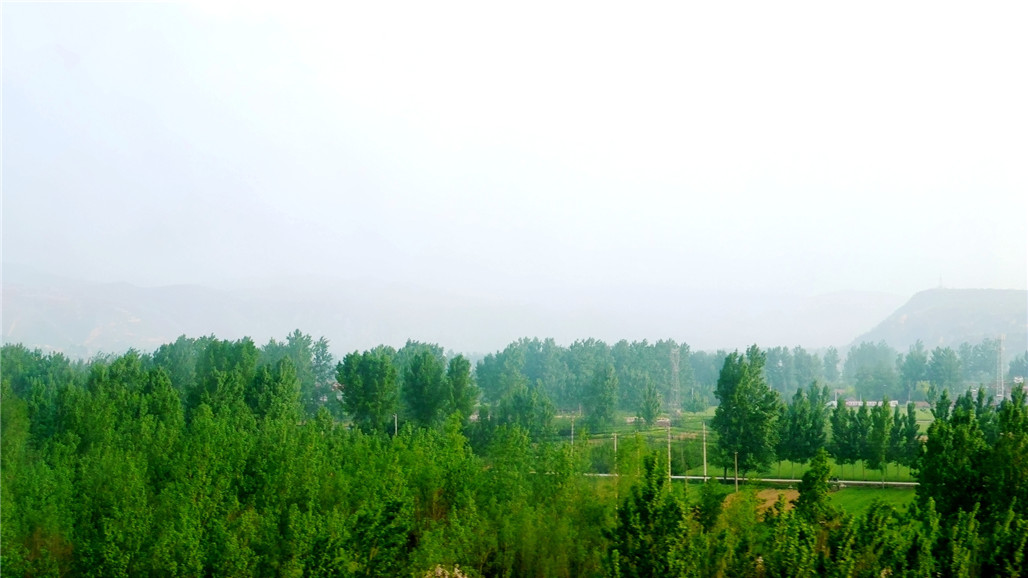 P1220902.JPG