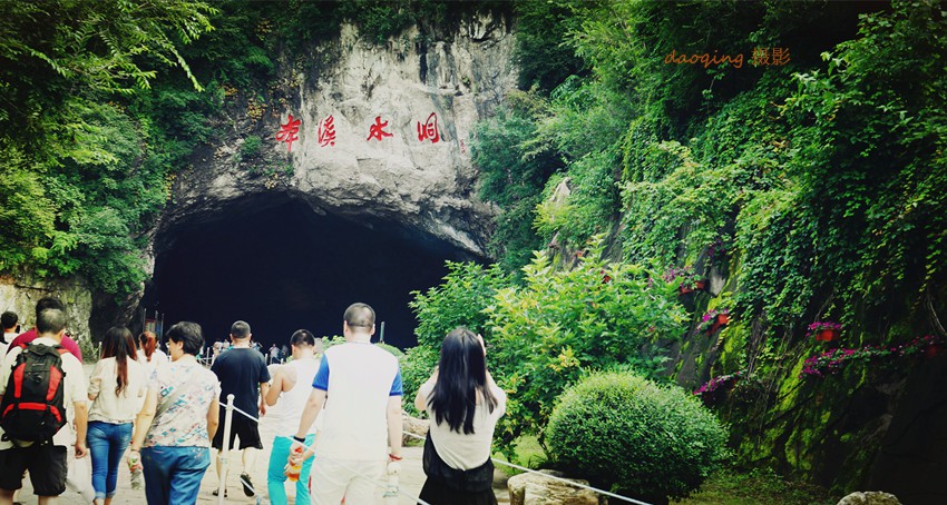 DSC00795_副本2.jpg