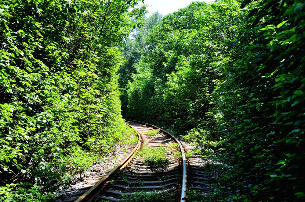 DSC_0225.jpg