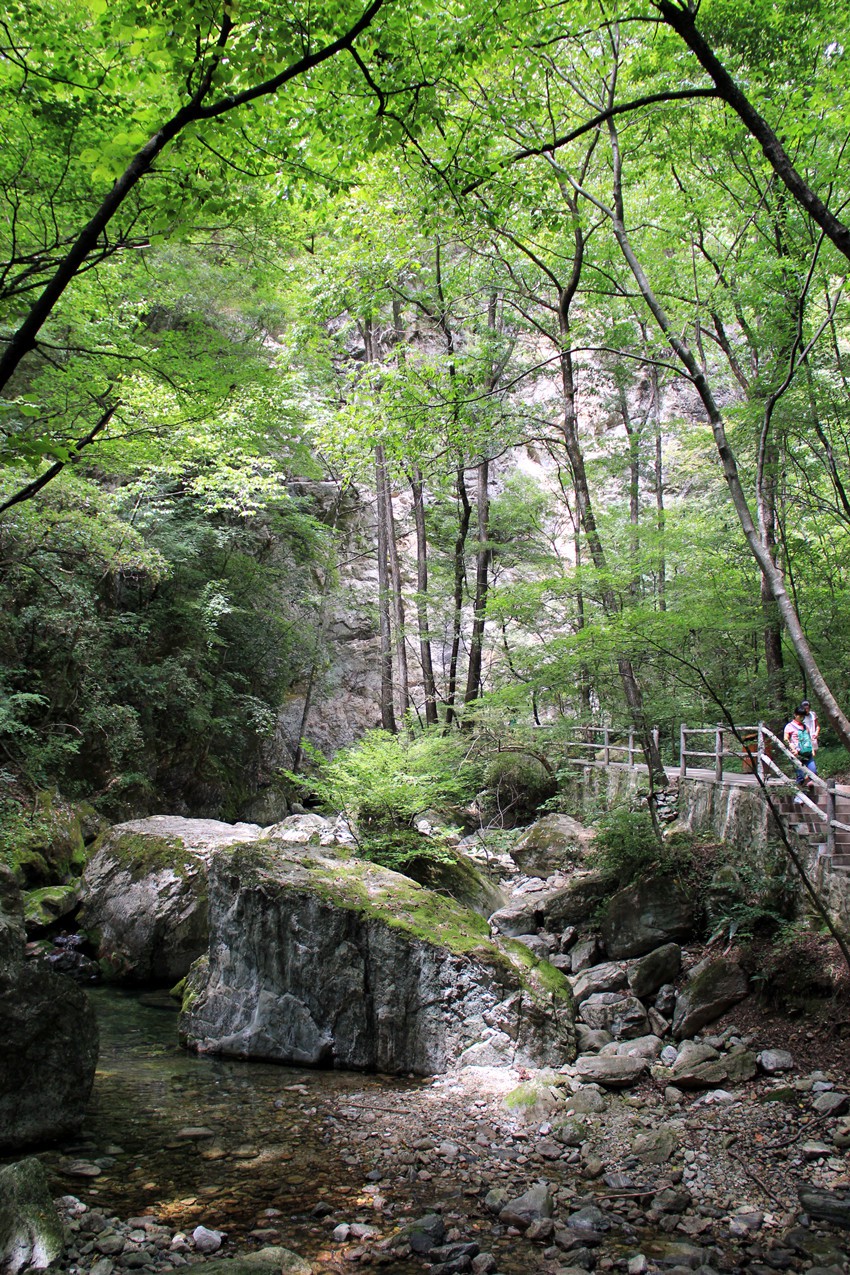 IMG_1786_副本.jpg