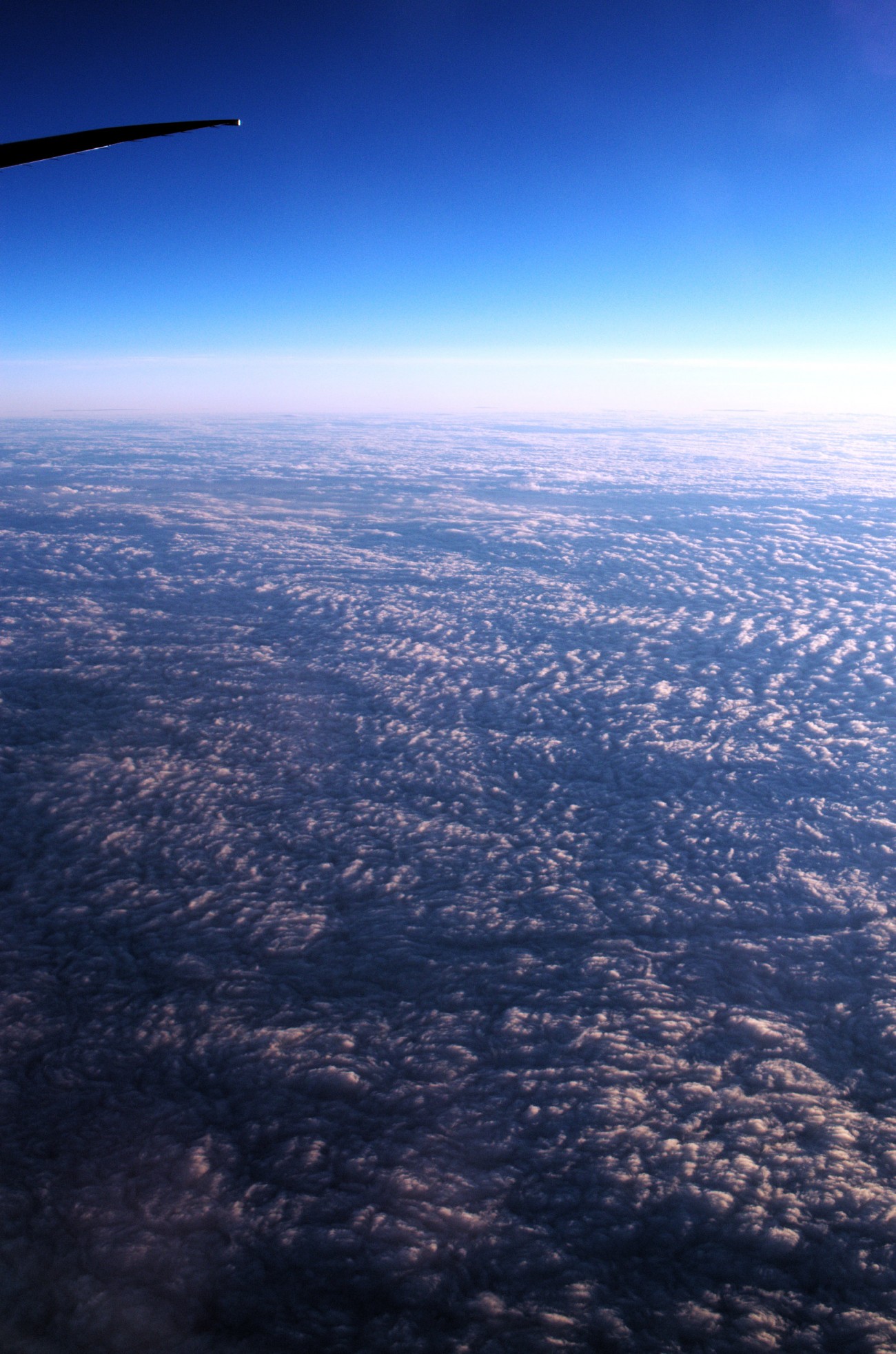 L1036727.jpg