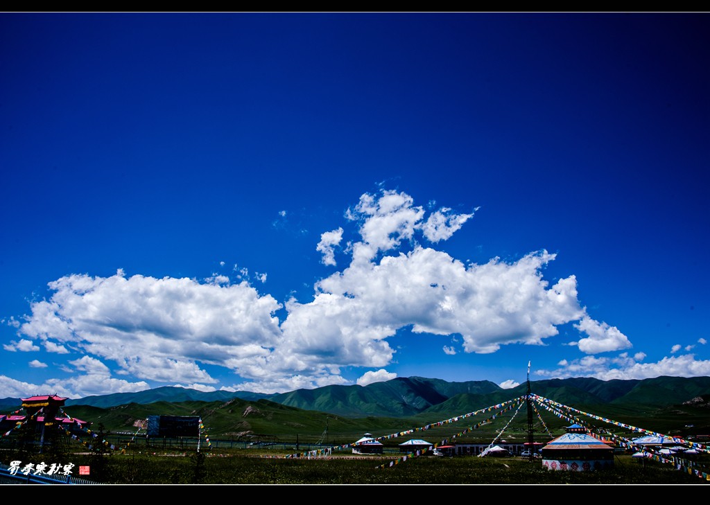 _DSC9493.jpg