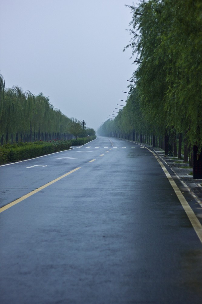 _MG_5335.jpg