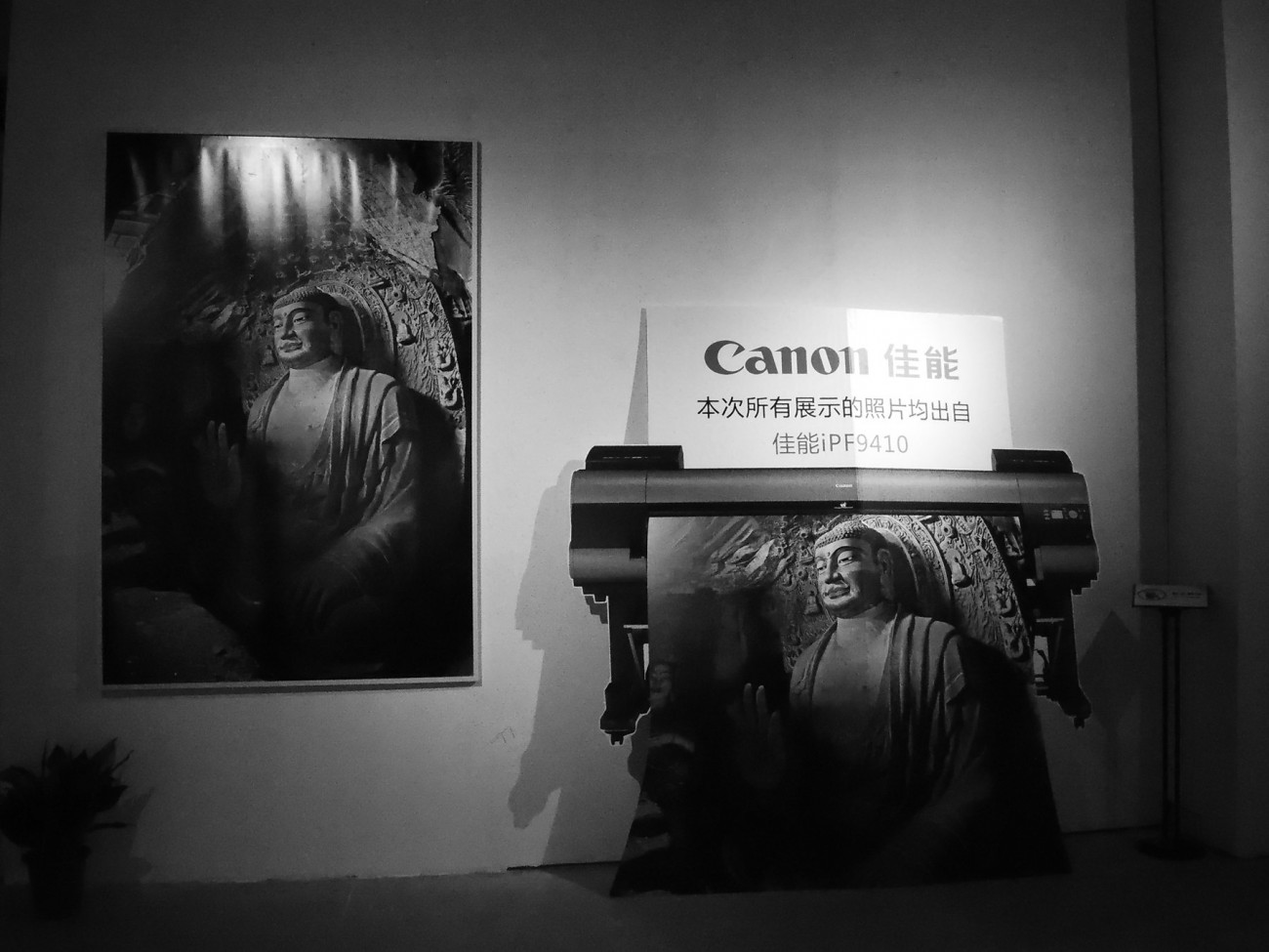 DSCN5190_副本.jpg