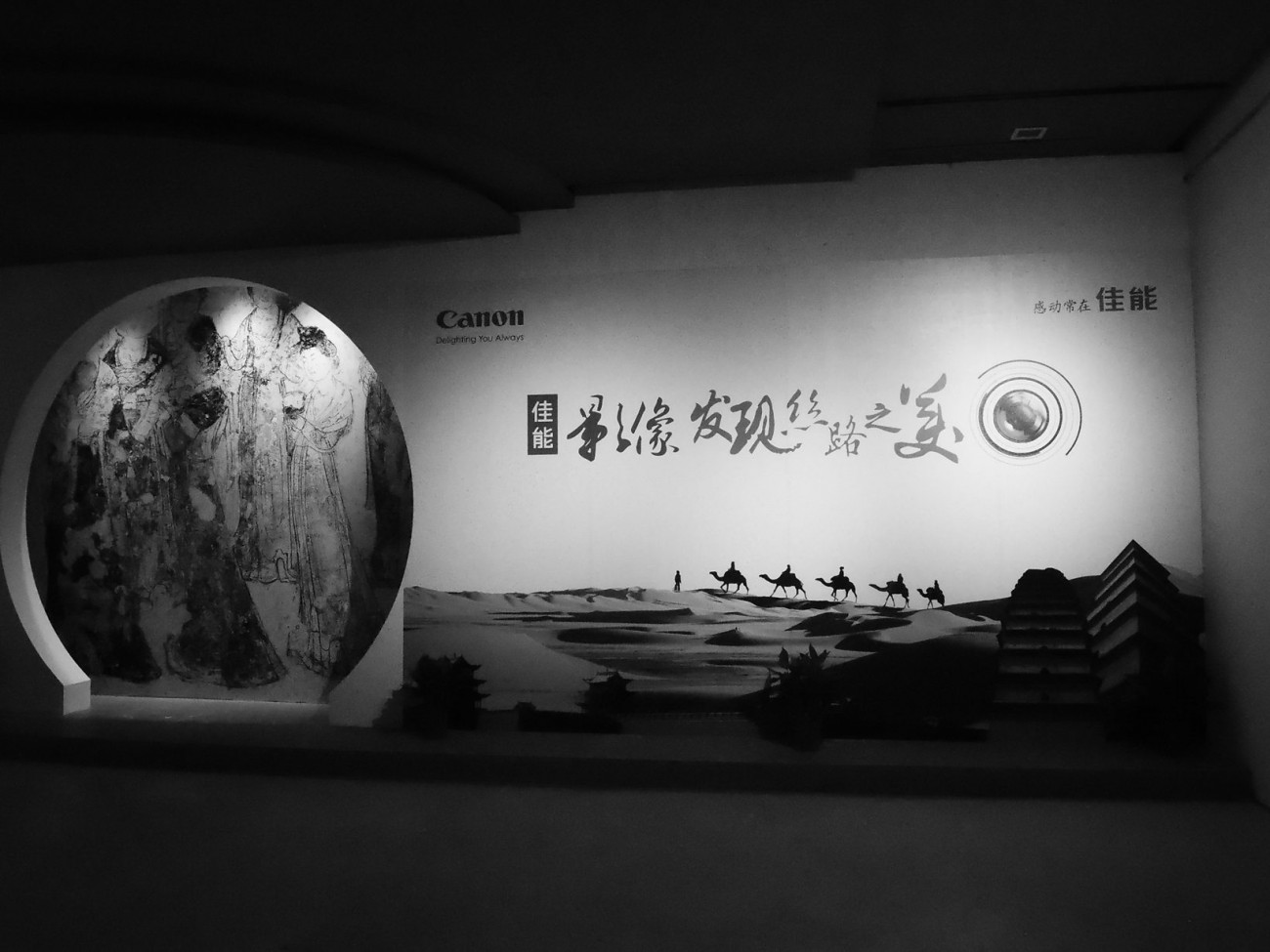 DSCN5210_副本.jpg