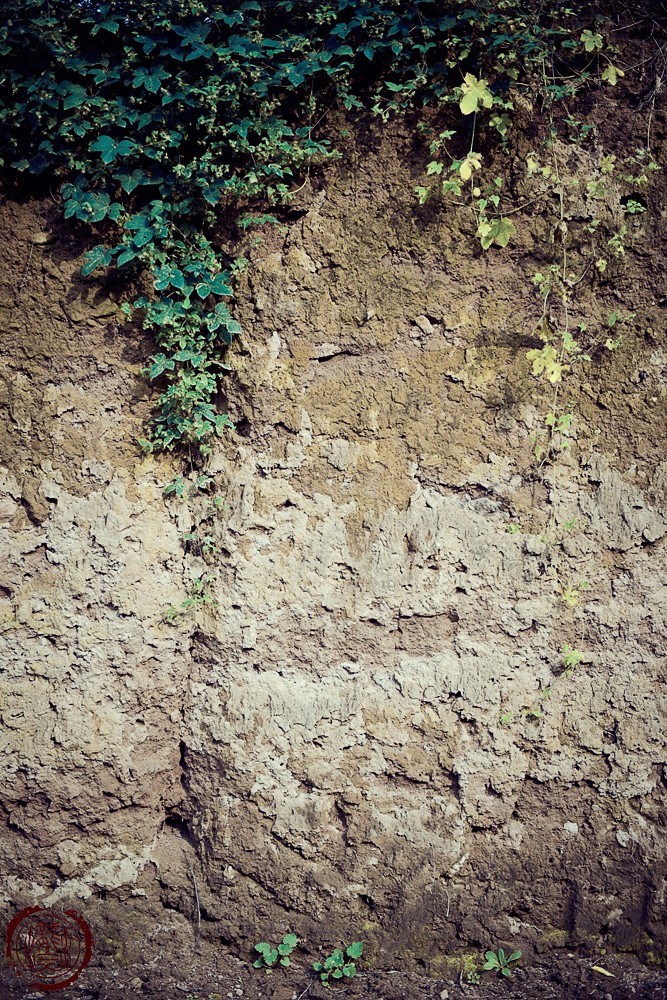 DSC_0376副本.jpg