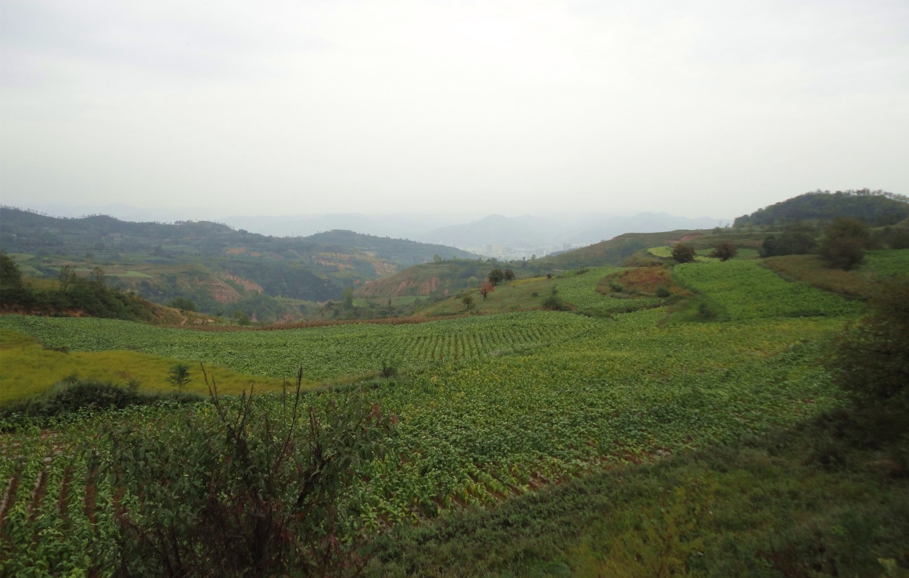 DSC09064_副本_副本.jpg
