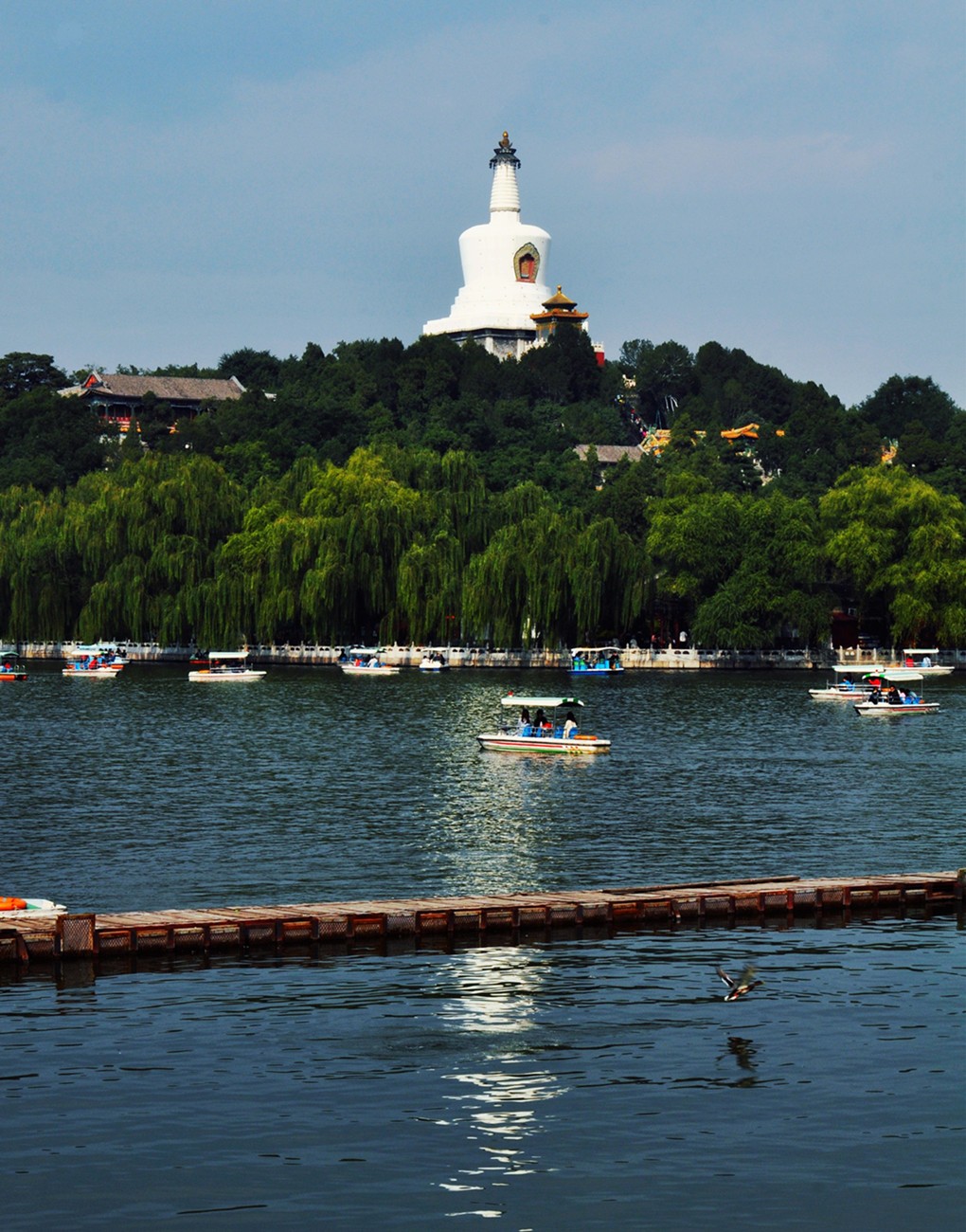 DSC_1009_副本发.jpg
