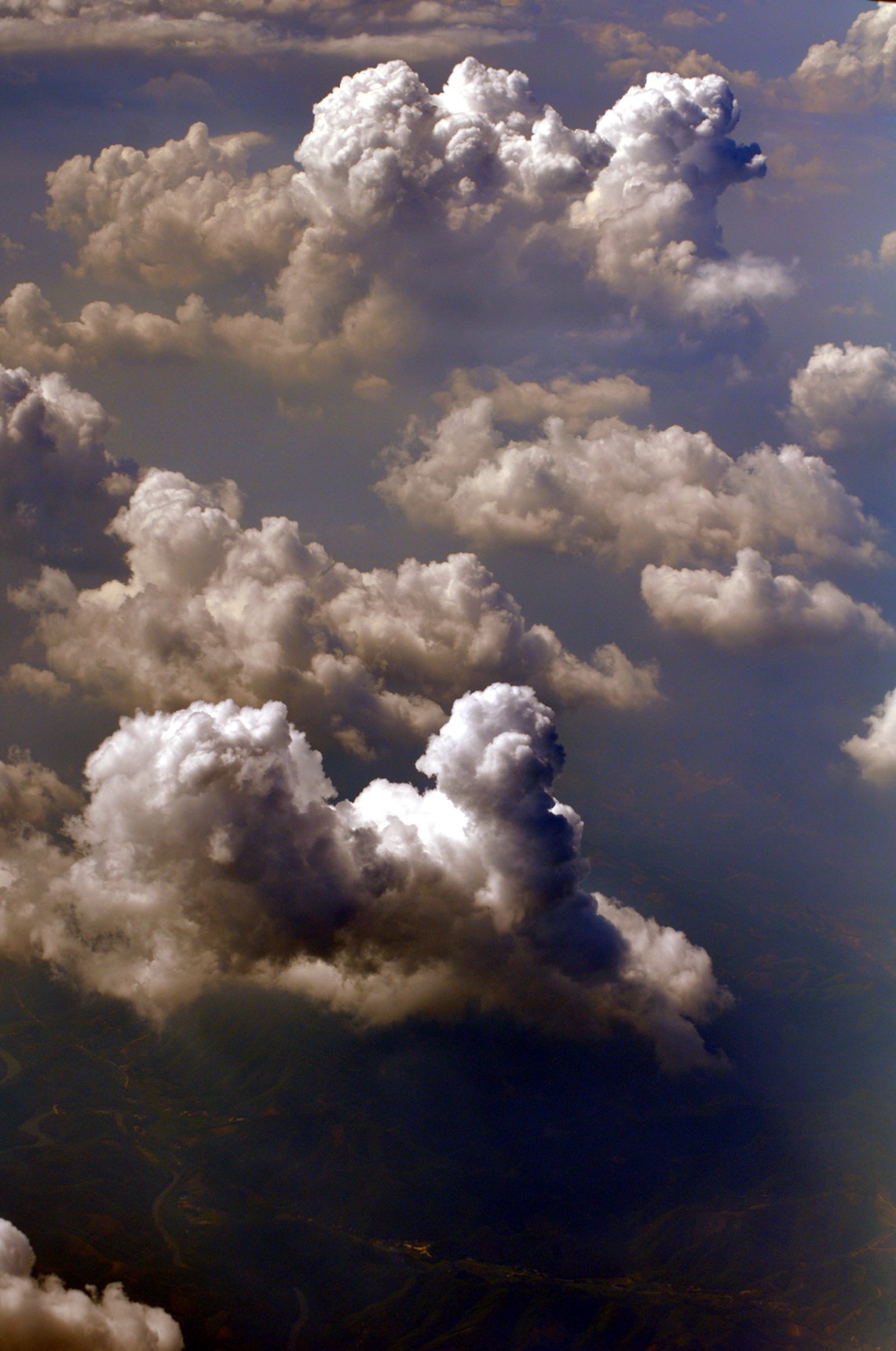 DSC_0723发.jpg