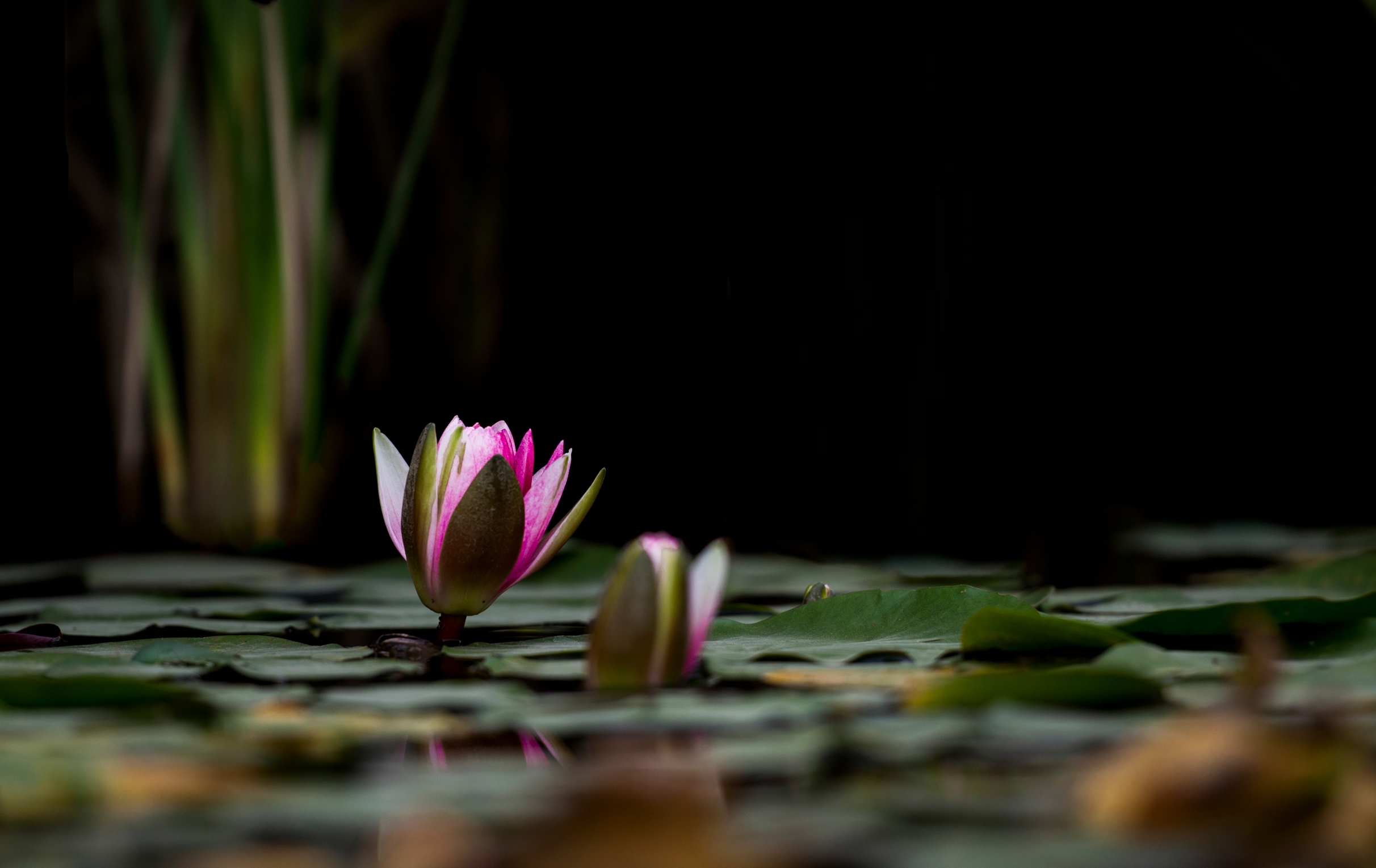 DSC_862_副本_副本.jpg