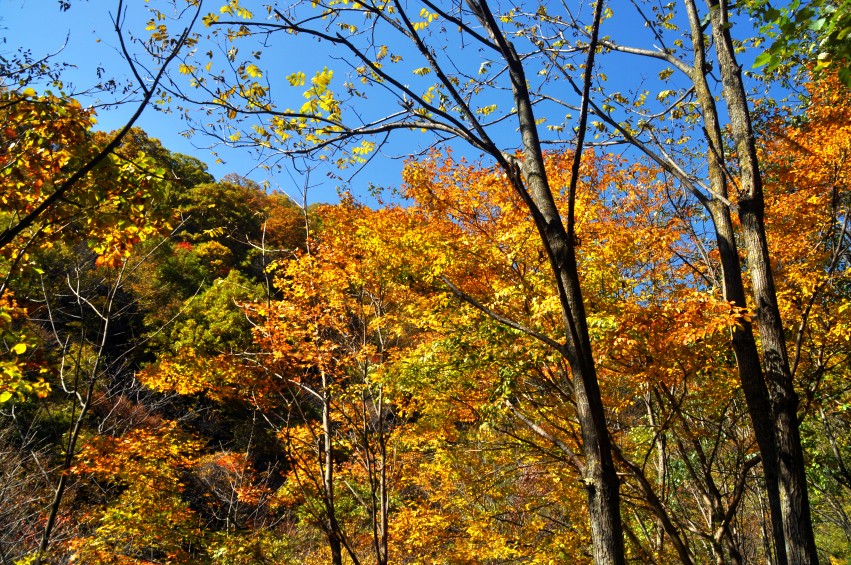DSC_0104_conew1.jpg