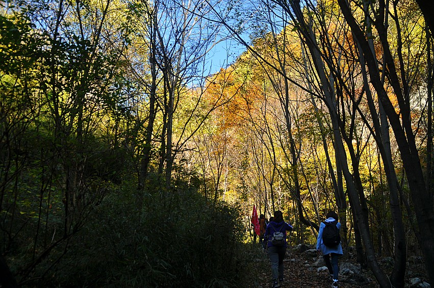 DSC_0102_conew1.jpg