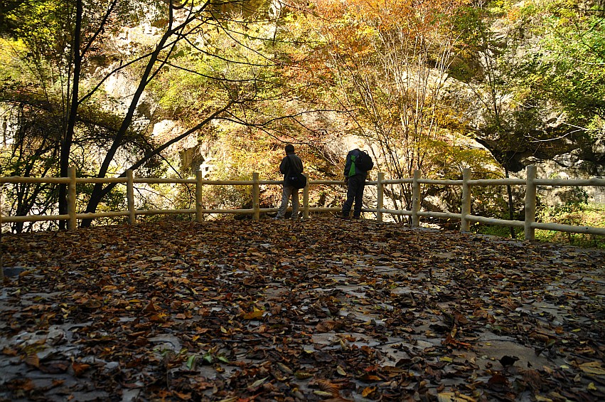 DSC_0155_conew1.jpg