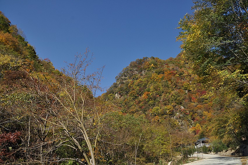 DSC_0162_conew1.jpg