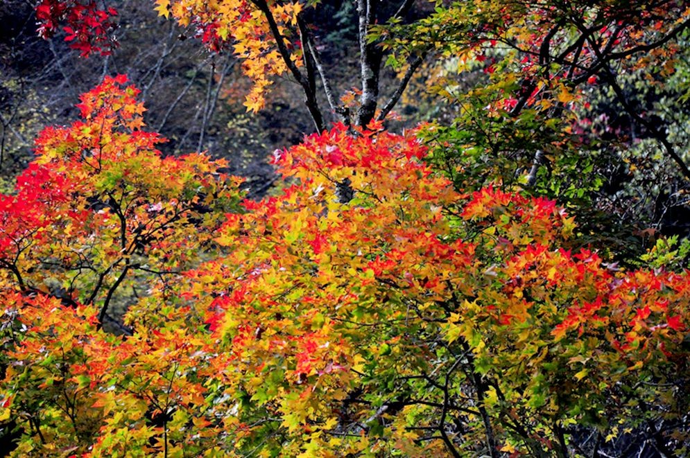 DSC_0356.jpg