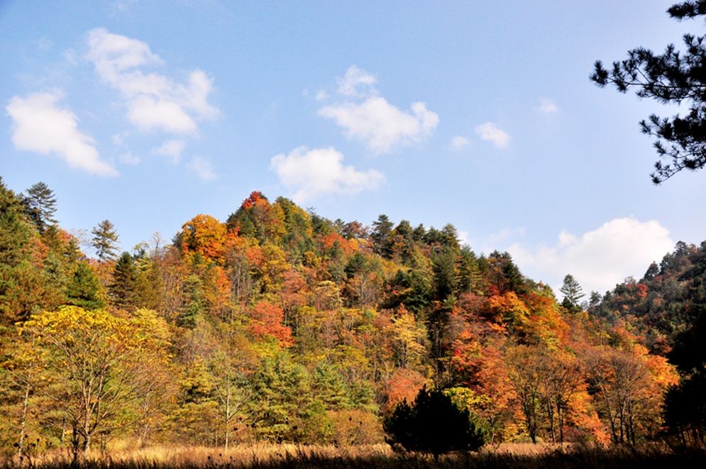 DSC_0599.jpg