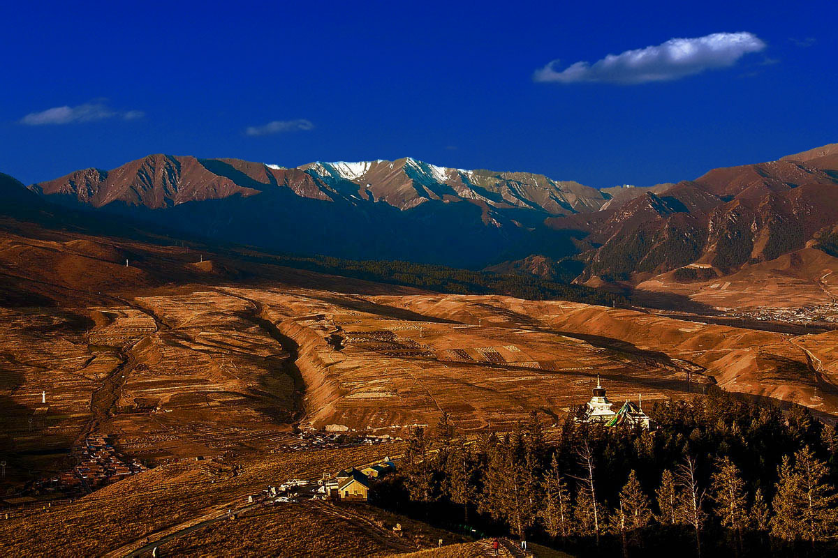 _MG_8755.jpg
