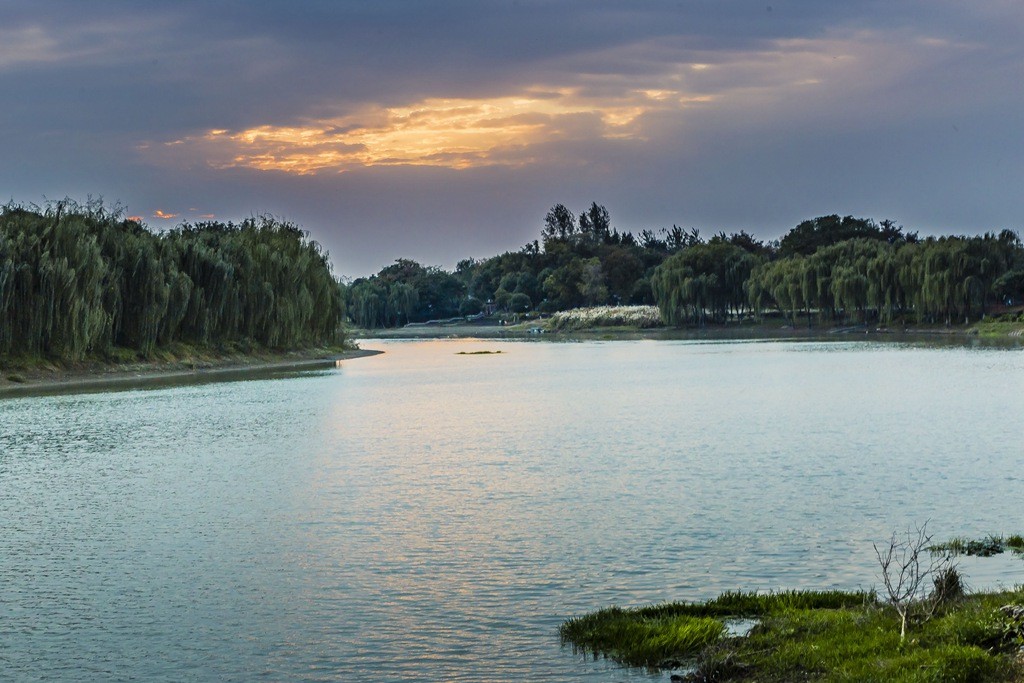 南京七桥瓮湿地公园8.jpg