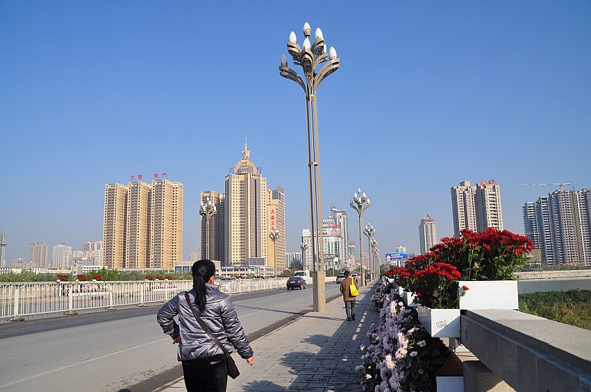 DSC_0006_conew1.jpg