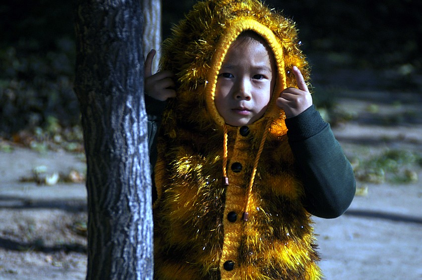 DSC_0093_conew1.jpg