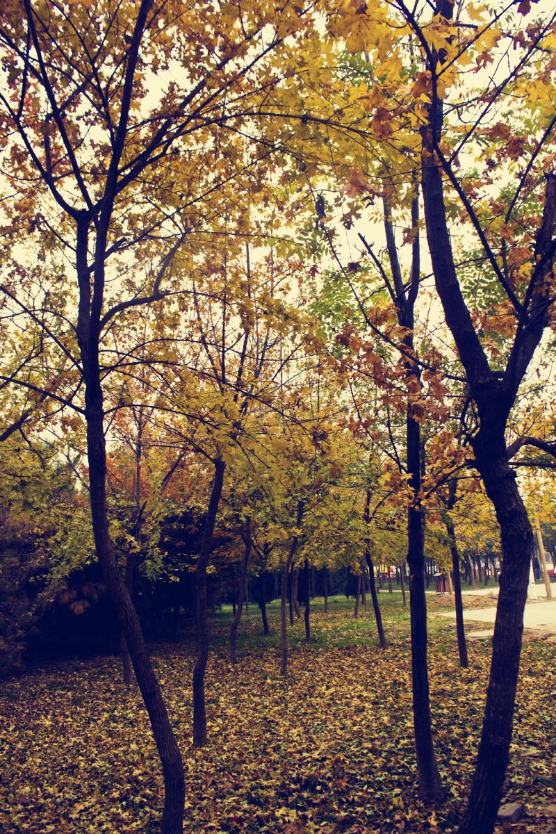 _MG_6280.jpg