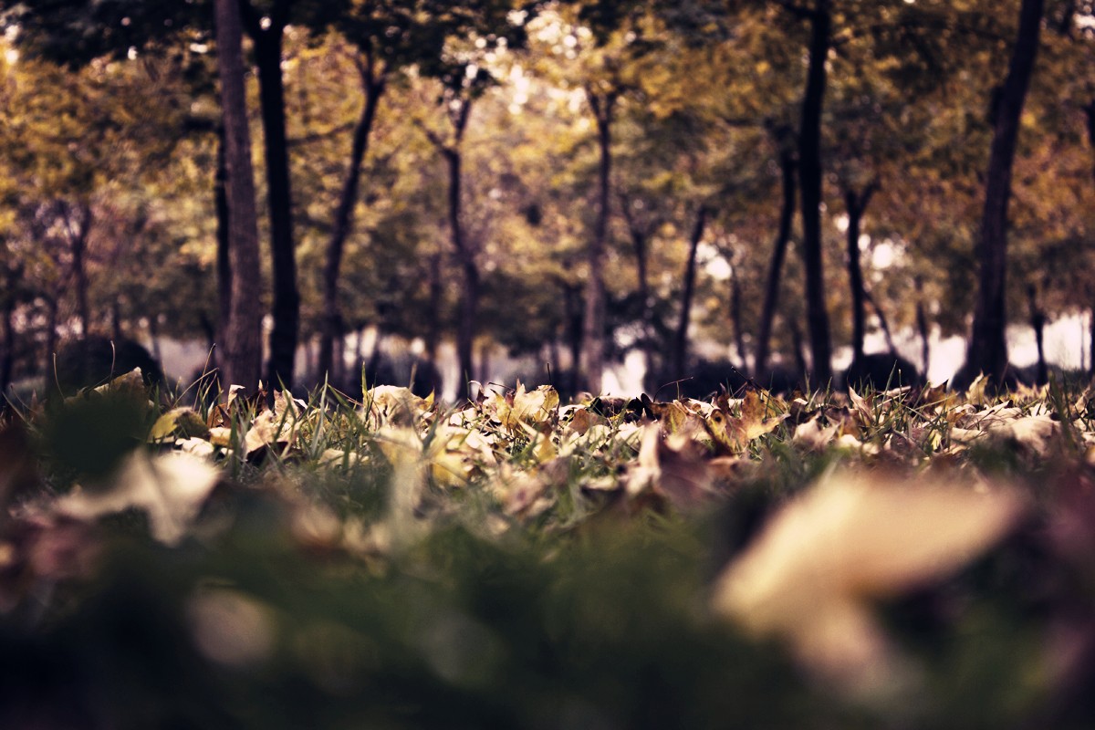 _MG_6293.jpg