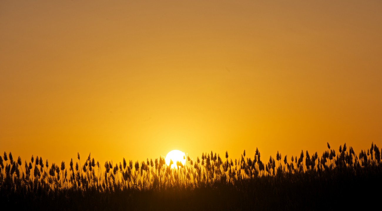 AAA_7957.jpg