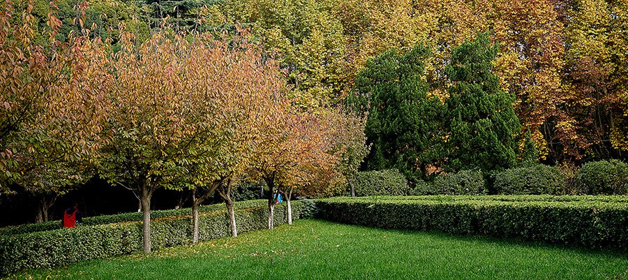 DSC00340改发.jpg