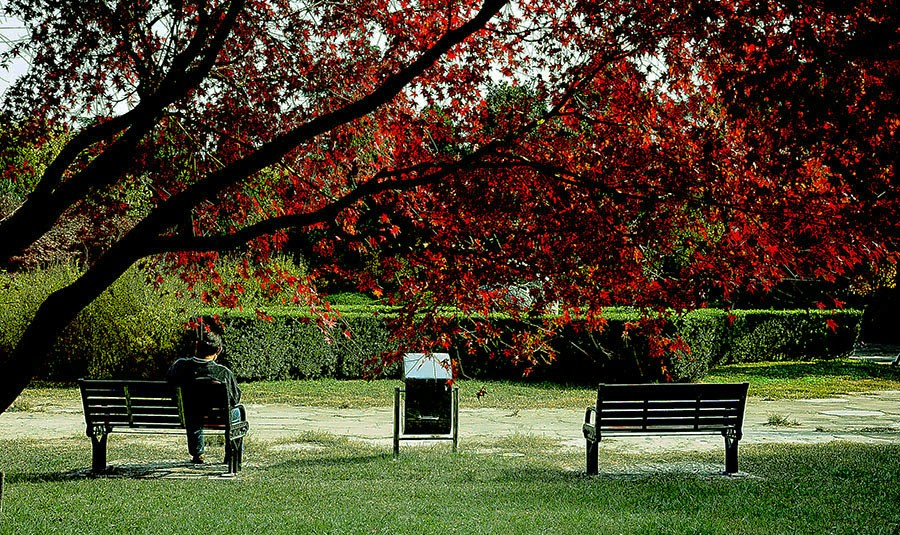 DSC00394改发.jpg