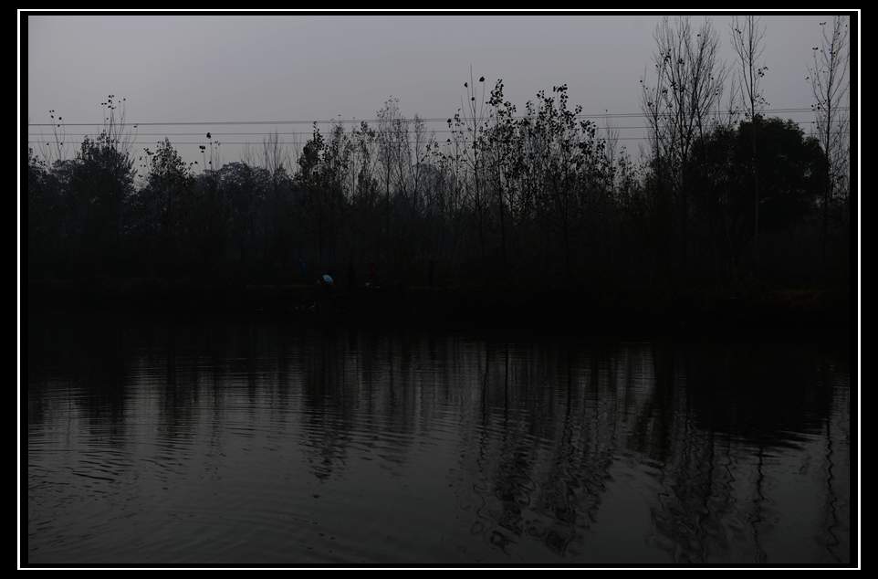 DSC_1654_副本.jpg